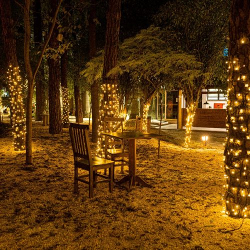 natal-2022 (2)